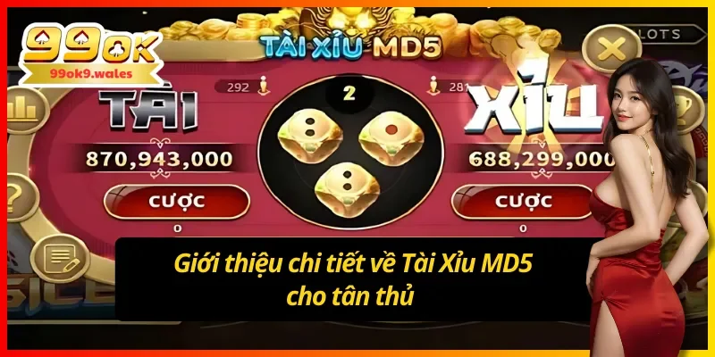 Khái quát về Tài Xỉu MD5 dành cho Newbie