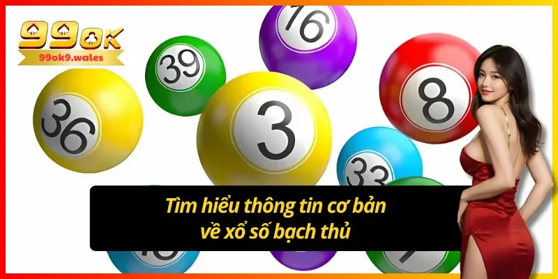 Người chơi tìm hiểu cơ bản về lô đề bạch thủ